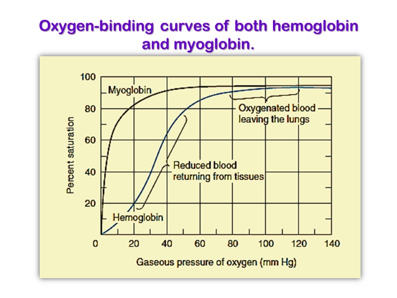 Oxygen-binding curves of both hemoglobin and myoglobin.